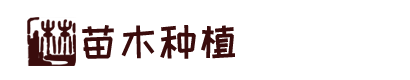 OG视讯厅官方官网(中国)科技有限公司